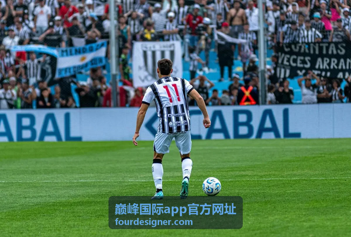 巅峰国际app官方网址安全下载与安装环节的设备核对与安装流程示意